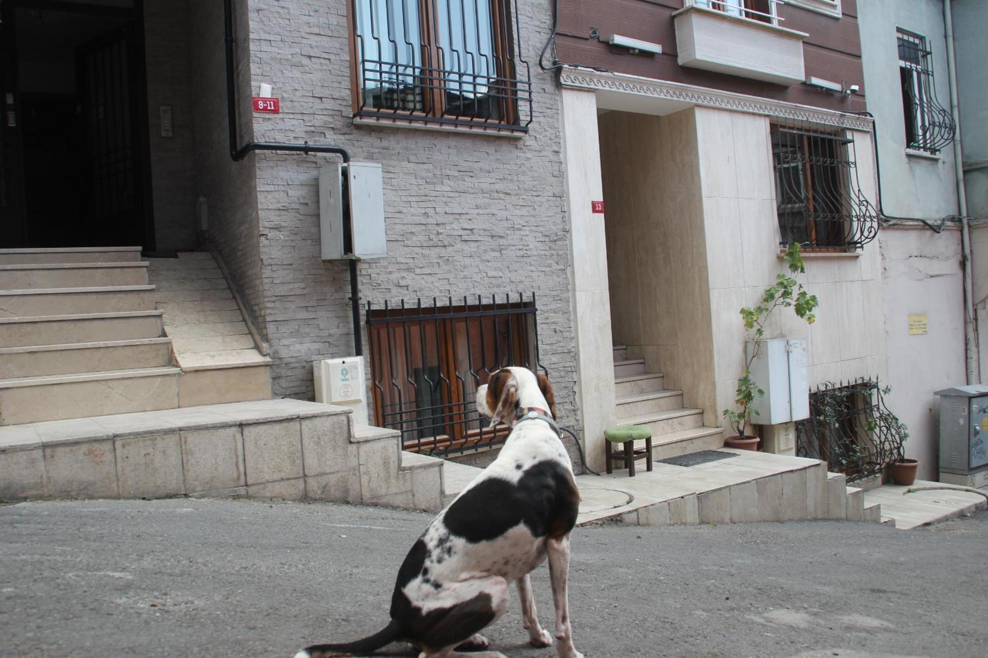 Hub Flats Hotel 4*